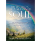Reflections of a Seasoned Soul: True stories of transformation experienced by an inspired hospice nurse and impassioned spiritual traveler. - Hardcover