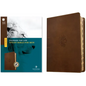 NLT Courage for Life Study Bible for Men, Filament Enabled (Leatherlike, Rustic Brown Lion, Indexed) - Imitation Leather