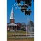 Celebration of Success - Paperback