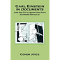 Carl Einstein in Documents - Hardcover