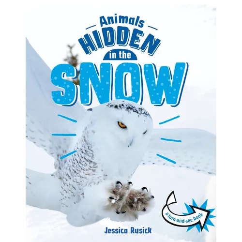 Animals Hidden in the Snow - Hardcover