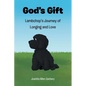 God's Gift: Lambchop's Journey of Longing and Love - Paperback