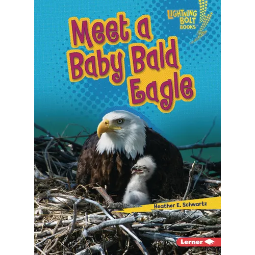 Meet a Baby Bald Eagle - Paperback