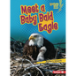 Meet a Baby Bald Eagle - Paperback