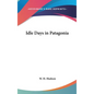 Idle Days in Patagonia - Hardcover