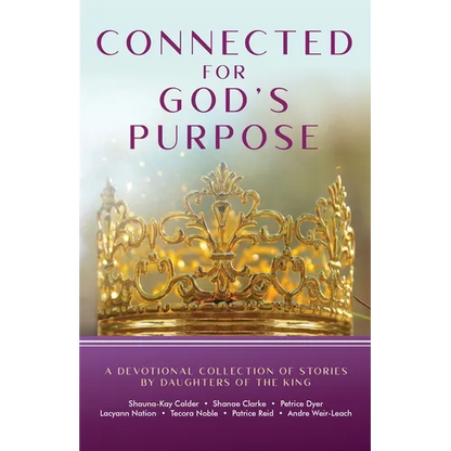 Connected for God's Purpose: A Devotional Collection of Stories by Daughters of the King - Paperback