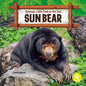 Sun Bear - Paperback
