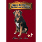 Eggs on the Wall . . . For the Love of Family - Hardcover