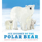 Ice Journey of the Polar Bear - Hardcover