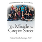 The Miracle on Cooper Street: Lessons from an Inner City - Paperback
