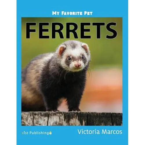 My Favorite Pet: Ferrets - Hardcover