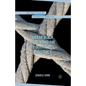Urban Black Women and the Politics of Resistance - Paperback