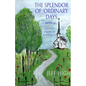 The Splendor Of Ordinary Days. 2nd Edition: A Novel of Watervalley - Paperback