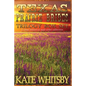 Texas Prairie Brides Trilogy Box Set: A Clean Historical Mail Order collection - Paperback