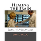 Healing the Brain: Domestic Violence and Traumatic Brain Injury - Paperback