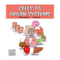 Cells to Organ Systems - Paperback