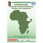 Ethiopian Women Entrepreneurs: Going for Growth - Paperback