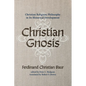 Christian Gnosis: Christian Religious Philosophy in Its Historical Development - Hardcover