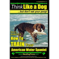 American Water Spaniel, American Water Spaniel Training AAA AKC: Think Like a Dog, but Don't Eat Your Poop! American Water Spaniel Breed Expert Traini - Paperback