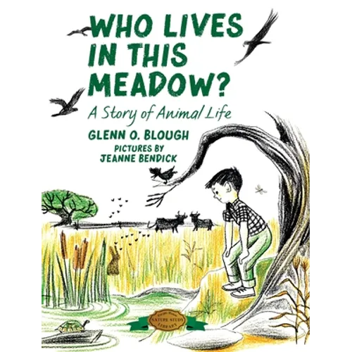 Who Lives in this Meadow?: A Story of Animal Life - Hardcover