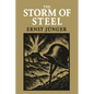 The Storm of Steel - Paperback