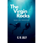 The Virgin Rocks - Paperback