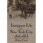 Immigrant Life in New York City, 1825-1863 - Paperback