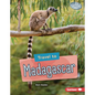 Travel to Madagascar - Library Binding