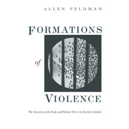 Formations of Violence: The Narrative of the Body and Political Terror in Northern Ireland - Paperback