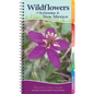 Wildflowers of Arizona & New Mexico: Your Way to Easily Identify Wildflowers - Spiral