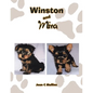 Winston and Mira - Paperback