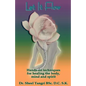 Let It Flowhands-On Techniques for Healing the Body, Mind and Spirit - Paperback