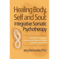 Healing Body, Self and Soul: Integrative Somatic Psychotherapy - Paperback