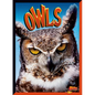 Owls - Library Binding