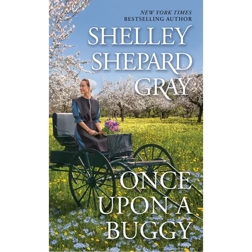 Once Upon a Buggy - Paperback