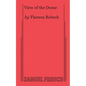View of the Dome - Paperback