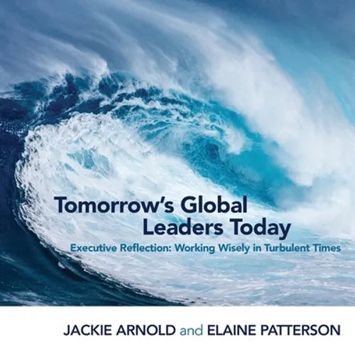 Tomorrow's Global Leaders Today: Executive Reflection: Working Wisely in Turbulent Times - Paperback