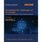 Navigating the Challenges of AI Testing: The Ultimate Professional's Guide to Mastering Solutions - Paperback