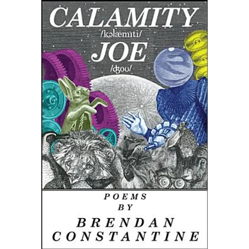 Calamity Joe - Paperback