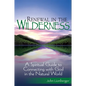 Renewal in the Wilderness: A Spiritual Guide to Connecting with God in the Natural World - Hardcover