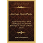 American Honey Plants: Together With Those Which Are Of Special Value To The Beekeeper As Sources Of Pollen (1920) - Paperback