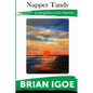 The Story of Napper Tandy - Paperback