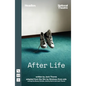 After Life - Paperback