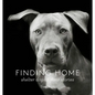 Finding Home: Shelter Dogs and Their Stories - Hardcover