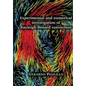 Experimental and numerical investigation of Rayleigh-Bénard convection - Paperback