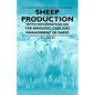 Sheep Production - With Information on the Breeding, Care and Management of Sheep - Paperback
