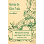 Growing the Citrus Fruits - With Information on Growing Lemons, Oranges, Grape Fruits and Other Citrus Fruits - Paperback