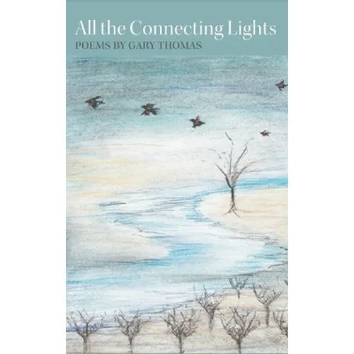 All the Connecting Lights - Hardcover