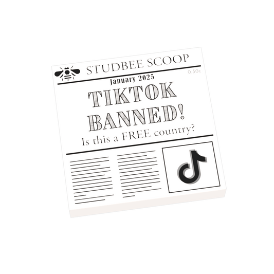 Newspaper - TikTok Banned?  -  Custom Printed On a LEGO® Tile