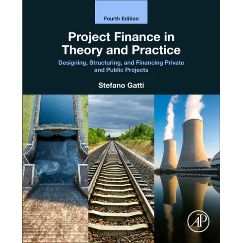 Project Finance in Theory and Practice: Designing, Structuring, and Financing Private and Public Projects - Paperback